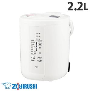 象印（ZOJIRUSHI） スチーム式加湿器 [グレー] EE-DE50-HA タンク容量