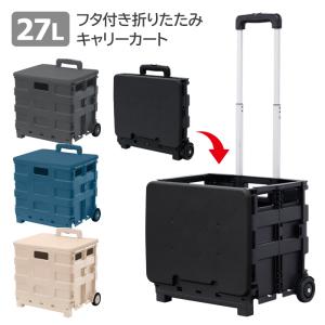 IRIS OHYAMA（アイリスオーヤマ） キャリーカート 折りたたみ 軽量