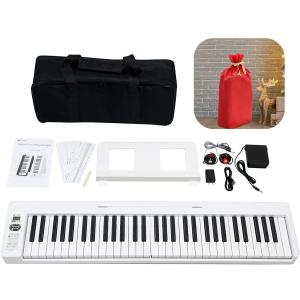 Takamine CT4-DX（DMP）プリアンプ 送料無料 新品 タカミネ交換用