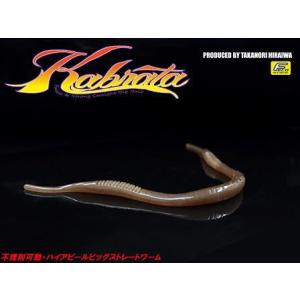 GAN CRAFT（ガンクラフト） BRAIN（ブレイン） KG-00 6-680EXH