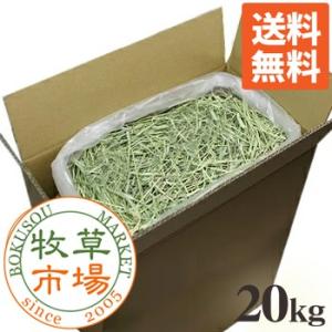 牧草市場 カナダ産 プレミアム チモシー 1番刈り 1kg (500g×2パック