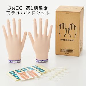 JNEC認定 STモデルハンド 3点セット ネイルチップ/ルース