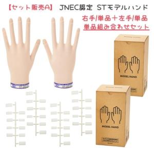 JNEC認定 STモデルハンド ネイルチップ 練習用/トレーニング用