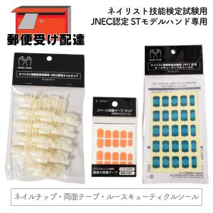 JNEC認定 STモデルハンド 3点セット ネイルチップ/ルース