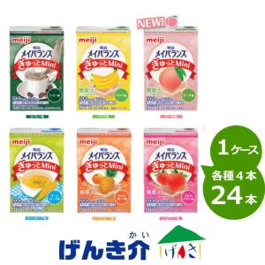 明治（meiji） メイバランスミニ (Mini) アソートBOX 2ケースセット 計