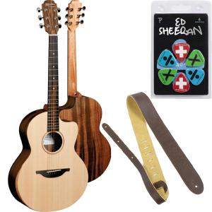 MORRIS(モーリス) エレクトリック・アコースティックギター R-401