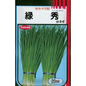 ねぎ 関羽一本太 ペレット種子5千粒 （株）トーホク : グリーンロフト
