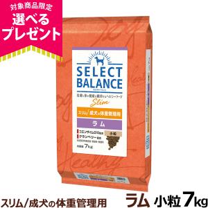 SELECT BALANCE セレクトバランス スリム ラム 小粒 7kg : にゃんど