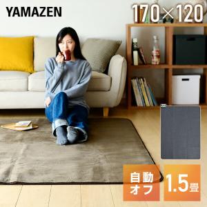 Panasonic（パナソニック） DC-15NK ホットカーペット本体 電気