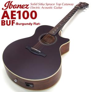 Epiphone DR-100 WR ワインレッド 《アコギ》 : ギタープラネット