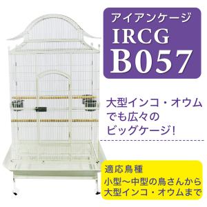 決算セール！半額！バードケージ 鳥かご 大型 IRCGB050 大型商品につき