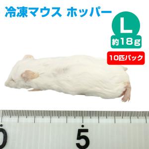 冷凍 エサ冷凍 冷凍マウス アダルトLサイズ 約30g 10匹パック T2