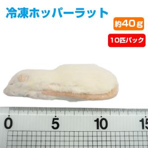 冷凍 エサ冷凍 冷凍マウス ファジー 約6g 10匹パック T2 クール便発送