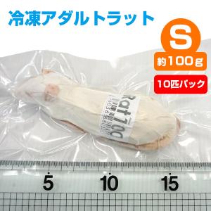 冷凍 エサ冷凍 冷凍マウス ファジー 約6g 10匹パック T2 クール便発送