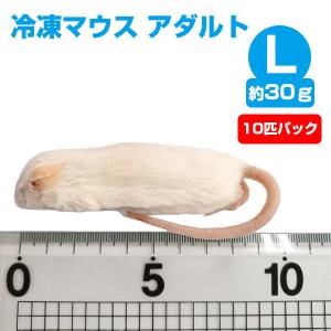 冷凍 エサ 冷凍ピンクマウス Sサイズ 約2g 10匹パック T2 クール便発送