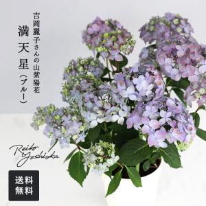 クリスマスローズ 吉田園芸 アンティークピエラ 0218-040 現品販売