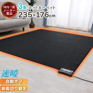 Panasonic（パナソニック） DC-3NKM ホットカーペット 本体のみ 3畳