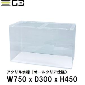 アクリル水槽 W450xD450xH450（板厚：側面5mm・底面4mm） 45cmクリア
