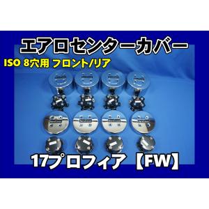 17スーパーグレート リア10穴用 エアロセンターカバー左右セットISO