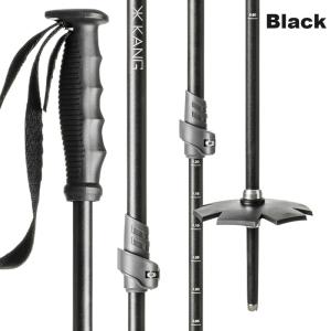 BURTON バートン × BLACK DIAMOND EXP エクスペディション ポール