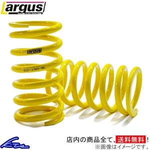 RSR RSR Ti2000 直巻スプリング ストレートタイプ ID62 203mm（8inch