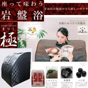 メーカー直送】ノイフルス NH-001 ホームサウナ SPA 【自宅サウナ 家庭