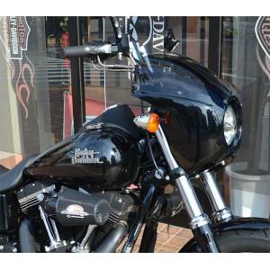 アレンネス 06-043 オリジナル・フェアリングキット Louvered Style