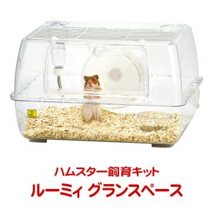 チャーム（charm） 初めてのハリネズミ飼育セット : チャーム charm