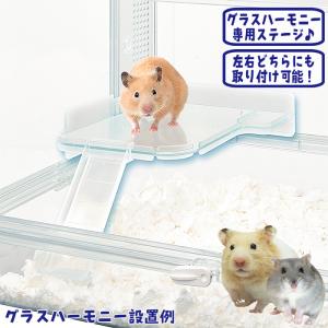 Harmony（GEX） ハーモニーステージS/ロフト 中段 グラスハーモニー