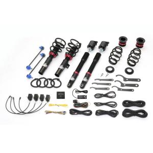 BLITZ（ブリッツ） 15244 DAMPER ZZ-R SpecDSC PLUS 車種別セット TYPE