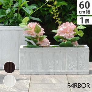 12月12日(金)が今期最終発送】玉ねぎ 苗 100本＼10月末から発送／(中生