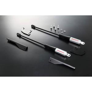 オートエクゼ オートエグゼ(AUTOEXE) スポーツインダクションボックス