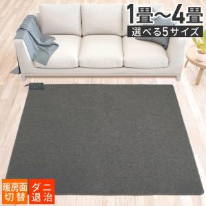 Panasonic（パナソニック） 電気カーペット 2畳 ホットカーペット DC
