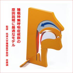 新耳鼻咽喉科学 改訂12版 / 切替 一郎 原著 : 京都 大垣書店