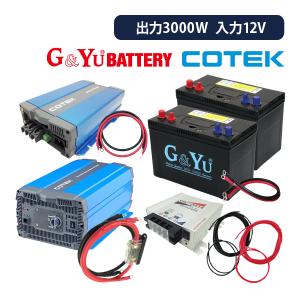 NEW ERA（ニューエラ） ニューエラー SBC-001B 走行充電器 サブ