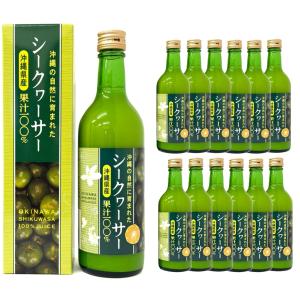 カミュ ナポレオン ブック 陶器ボトル 青 ブランデー コニャックCOGNAC