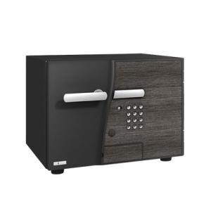 エーコー（EIKO） 家庭用 小型 耐火金庫 指紋認証 テンキー式 プッシュ