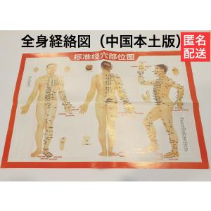 ビワの葉温灸用太棒もぐさ16本入+枇杷葉15枚（ビワエキス250mlに変更の