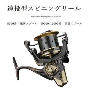 シマノ（SHIMANO） SHIMANO 20 ストラディック SW 8000HG 04249 : らい