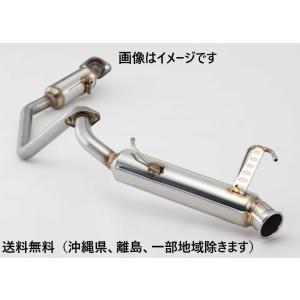 TRUST（トラスト） 個人宅発送可能 GReddy パワーエクストリームR