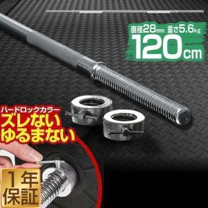 ダンベル バーベル 用 カラー 4個セット イージーカラー ワンタッチ