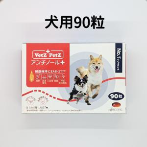 120粒】【あすつく】アンチノールプラス アンチノールplus 犬用