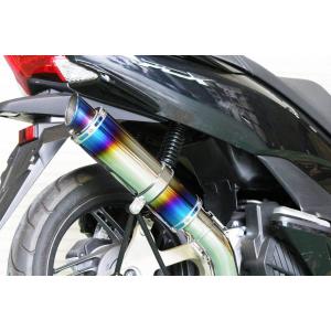 REALIZE（リアライズ） Realize PCX125 PCX150 バイクマフラー EBJ