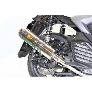 REALIZE（リアライズ） Realize VTR250 バイクマフラー VTR-F Type LD