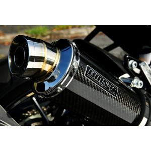 BEAMS（ビームス） バイク用 マフラー D-TRACKER/KLX250 BA-LX250E SS