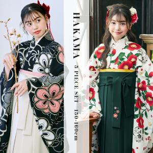 2026年3月】160cmドレス（arisana）のおすすめ人気ランキング - Yahoo