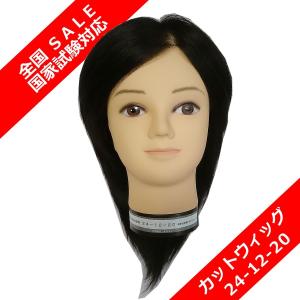 理容師国家試験対応ウィッグ R-005 理容メンズウィッグ 送料無料