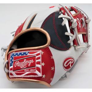 Rawlings（ローリングス） 軟式グラブ Rawlings RGGC限定モデル HOH
