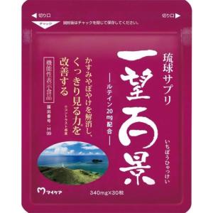 Entero エンテロ 30本入り 約1ヵ月分 箱なし サプリメント 複合乳酸菌