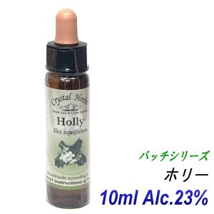 フラワーレメディ バッチシリーズ リバイバルレメディ（レスキュー